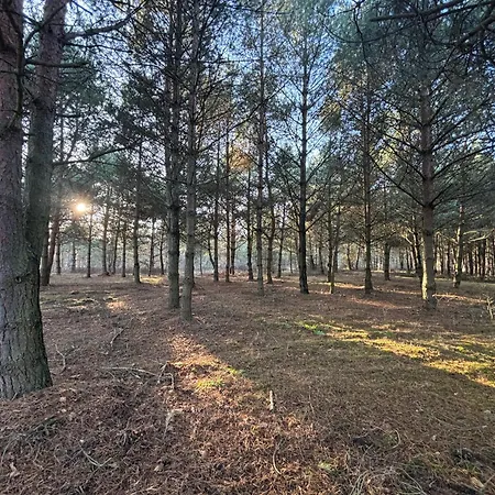 Lesny Raj - Samotnia *