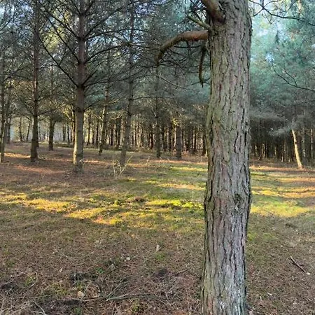 Lesny Raj - Samotnia