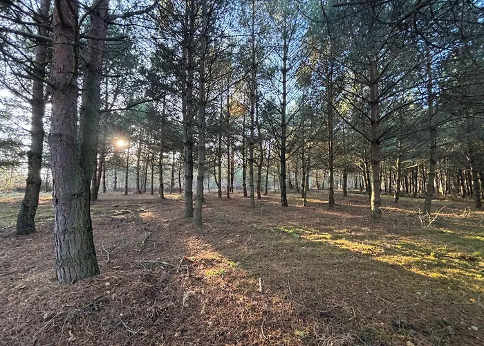 Lesny Raj - Samotnia *