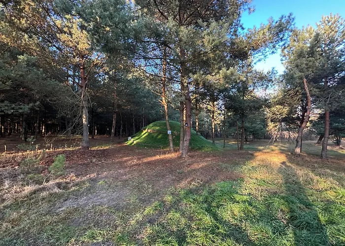 Lesny Raj - Samotnia Апартаменты Kijanka