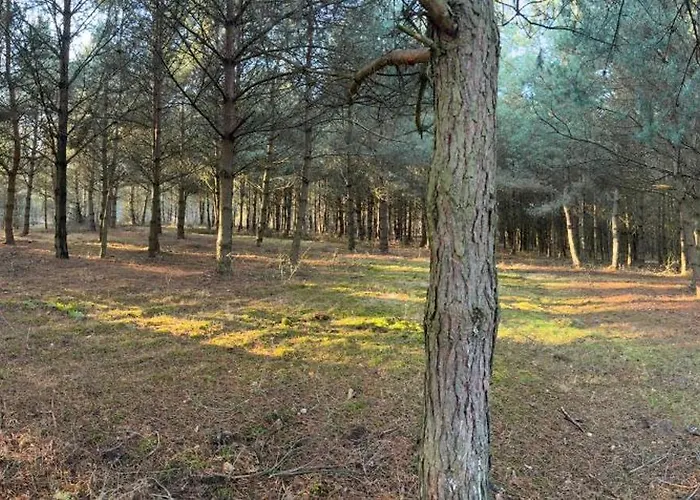 Lesny Raj - Samotnia